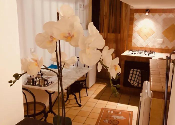 Apartment Campo De' Fiori Loft The Angeli's *
